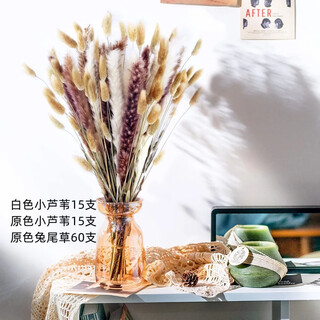 Original idea (chugouxiang) yunnan real flower pampas grass whisk dust rabbit tail dried bouquet pampas grass hs77 with box
