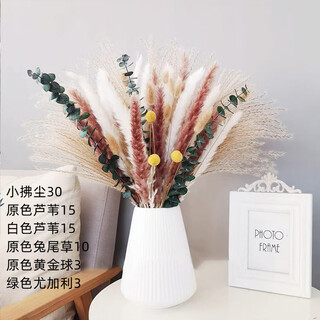 Original idea (chugouxiang) yunnan real flower pampas grass whisk dust rabbit tail dried bouquet pampas grass hs16 with box
