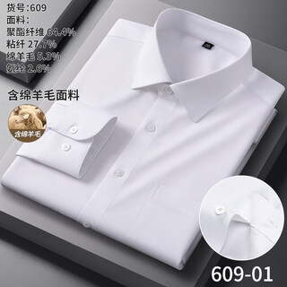 Hartmarx younger wool long-sleeved shirt men's spring and autumn new business casual professional formal wear white shirt no ironing trend 609-01 38