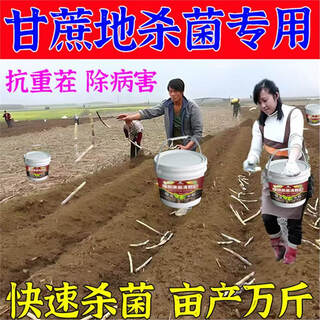 Pick up the cat and manage it for ten years. the soil-borne disease agent for sugar cane, vegetables and fruits can condition the soil to resist heavy cropping and solve root rot. the soil is resistant to disease. plant sugar cane first. 10 barrels.