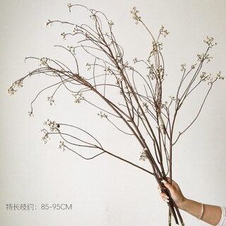 Jatu dace dried flowers, dried tallow fruit bouquets, air-dried real flowers, wabi-sabi, long branches, b&b decoration, flower arrangements, small white fruits, 4 special long branches, small white fruits, new branches in autumn of 2025, multiple fruits, about 85-9