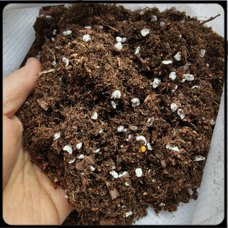 Universal nutrient soil han jie's own granular soil, fleshy granular soil, flower and green plant nutrient soil, customized 12 liters of universal nutrient soil for flowers and green plants (general for fleshy roots)
