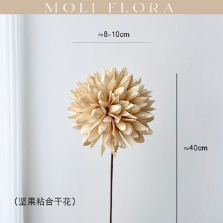 Jatu dace dried flowers and branches diy material bouquet lotus reed cotton pine cones real flowers air-dried living room decoration flower arrangement designer matching 06 grand slam flower material 14-piece set dried flower bag