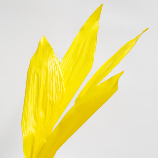 One-leaf orchid dried flower immortal flower real flower leaf material flower bouquet with flower accessories color decoration wholesale flowers yellow 5 branches/hand
