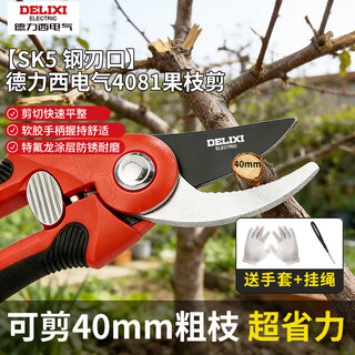 Delixi gardening fruit tree pruning shears garden branch pruning pruning pruning flower shears pruning branches special scissors
