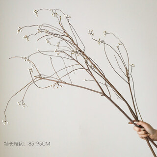 Jatu dace dried flowers, dried tallow fruit bouquets, air-dried real flowers, wabi-sabi, long branches, b&b decoration, flower arrangements, small white fruits, 2 special long branches, small white fruits, new branches in the autumn of 2025, multiple fruits, about 85-9