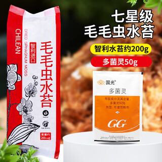 Chilean imported sphagnum red grass caterpillar sphagnum moss phalaenopsis orchid special soil plant turtle hibernation moisturizing golden combination chilean sphagnum moss 200g + carbendazim 50g