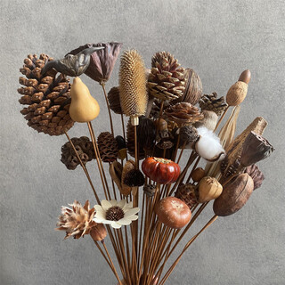 Jatu dace dried flowers and dried branches, creative dried fruit decorative ornaments, pastoral style home and bedroom decorations, flower arrangement materials, photography props, 50 family portraits (1 branch for each of 50 kinds of fruits), dried branches