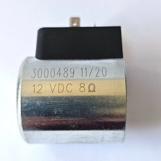 Head solenoid valve coil 3000249 3000489 3002594 dc24v dc12v ac220v 3000489 dc12v