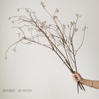 Jatu dace dried flowers, dried tallow fruit bouquet, air-dried real flowers, wabi-sabi, long branches, bed and breakfast decoration, flower arrangements, small white fruits, 3 special long branches, small white fruits, new branches in the autumn of 2025, multiple fruits, about 85-9
