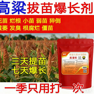 Special fertilizer for ridge sorghum wholesale crop fertilizer organic base fertilizer top dressing to promote growth and increase yield, high yield and disease resistance planting fertilizer. sorghum production will increase sharply after use. 20 bags for large area planting.