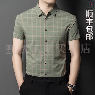 Filippa kr light luxury brand short-sleeved shirt men's summer thin casual non-iron ice silk seamless loose shirt green 2xl 180