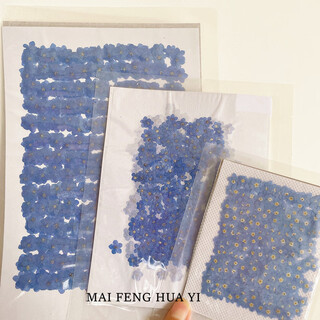 Yao wan xi forget me not real dried flower embossed wholesale ins popular epoxy jewelry pendant/manicure face decal decoration material mini (0.5--1mm)x500