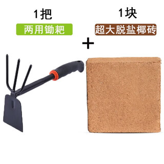 Coarse coconut shell bricks, special nutritious soil for orchids, phalaenopsis plant material, succulent soil flowers, clivia, coconut bran, desalted coconut bricks, super high, 1 imported large coconut brick with thickened gardening dual-purpose hoe and rake