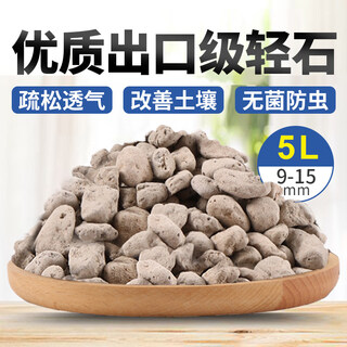 Pumice particles, pumice bowl bottom, orchid stone, comparable to hyuga stone, succulent orchid pavement bottom, aquarium filter material, whole package, 9-15mm orchidaceae pumice, 5 liters, finely screened extra large grains