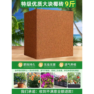 Large coconut bricks 9 jin jin is equal to 0.5 kg nutritious coconut soil vegetable general type desalted coconut bricks coconut brick soil turtle gardening soil planting soil there are many people to choose 9 jin jin is equal to 0.5 kg large coconut bricks