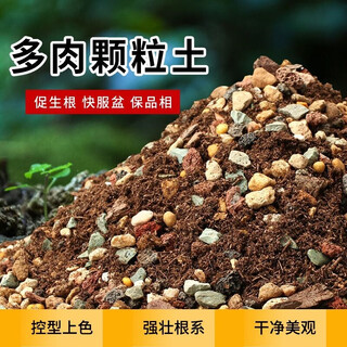 Succulent soil granular soil special nutritional soil succulent plant planting paving stone leaf insert imported peat flower soil 50% granular 10jin jin is equal to 0.5 kg adult plant soil