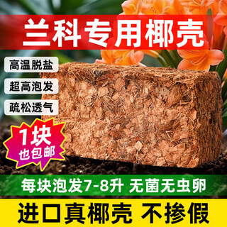 Coconut brick nutritious soil for growing flowers and vegetables, universal large block of desalted coconut soil, coconut bran, coarse coconut shell for growing flowers, 1 piece of small coconut shell in bulk