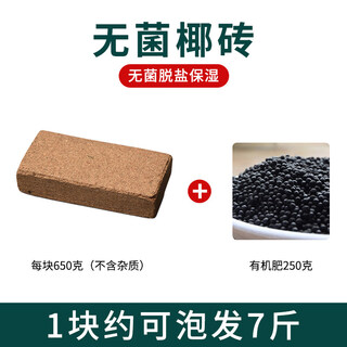 Special nutrient soil for orchids, small coconut shell bricks, coarse coconut bran, phalaenopsis orchid dendrobium plant material, coarse coconut blocks, compressed desalted coconut bricks, 1 fine coconut brick + 250 grams of organic fertilizer (seeds included)