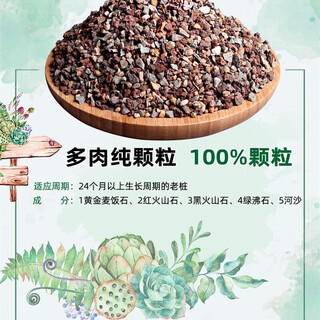 Nutrient soil for flower cultivation, organic soil for succulent golden kudzu rose pots, universal planting soil for soil flowers, vegetable soil, breathable and anti-rot root, succulent special nutrient soil, full particles 10 jin, jin is equal to 0.5 kg