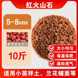 River sand finely screened coarse river sand succulent paving stone clivia with soil particles planting flower fish tank landscaping bottom sand 10jin jin is equal to 0.5kg packed 5-8mm finely screened pure red volcanic stone moisturizing and moisturizing