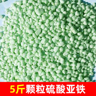 Ferrous sulfate flower fertilizer flower fertilizer soil improvement flower growing acidic plants potted solvent fertilizer 5jin jin is equal to 0.5kg ferrous sulfate (granules) buy now