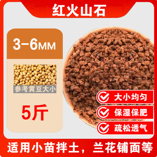 River sand finely screened coarse river sand succulent paving stone clivia with soil particles planting flower fish tank landscaping bottom sand 5jin jin is equal to 0.5kg packed 3-6mm finely screened pure red volcanic stone moisturizing and moisturizing