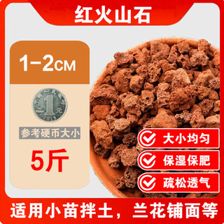 River sand finely screened coarse river sand succulent paving stone clivia with soil particles planting flower fish tank landscaping bottom sand 5jin jin is equal to 0.5kg packed 1-2cm finely screened pure red volcanic stone moisturizing and moisturizing