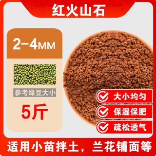 River sand finely screened coarse river sand succulent paving stone clivia with soil particles planting flower fish tank landscaping bottom sand 5jin jin is equal to 0.5kg packed 2-4mm finely screened pure red volcanic stone moisturizing and moisturizing