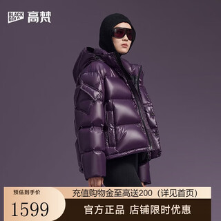 Govan black gold goose down jacket pioneer 5.0 four plates 2025 new small commuting women's down jacket purple gold no. 5 m