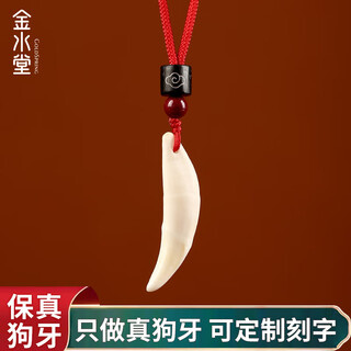 Jinshuitang black dog tooth necklace pendant amulet baby children baby nightmare shock necklace men and women's year of the life pendant single hole red rope style