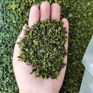 Xiandianxi tieguanyin 2024 new tea authentic fujian high mountain strong flavor bagged tea new oolong tea bag a2 tieguanyin bag 500g