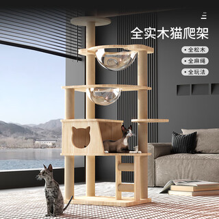 Pet beya pet beya cat climbing frame cat nest cat tree all-in-one all solid wood does not take up small cat shelf space capsule large household solid wood column z1