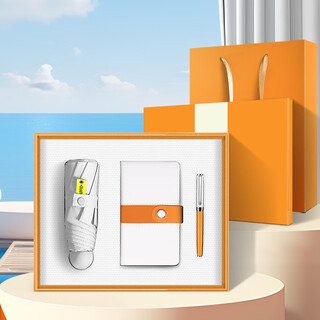 团队纪念品定制礼品保温杯雨伞充电宝蓝牙耳机水杯按摩仪套装礼盒公司活动伴手礼员工奖品实用年会商务随手礼 晴雨伞+便携本+笔+礼盒礼袋