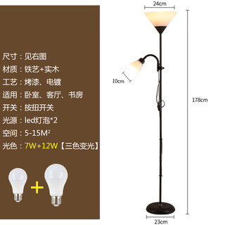 Nordic living room bedroom simple internet celebrity led modern decoration study multi-functional vertical lamp 5021 black model 12w+7w three-color dimming