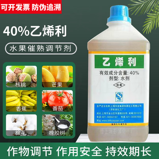 40% ethephon walnut banana persimmon tomato mango rice ripening agent pesticide plant growth regulator 1000g