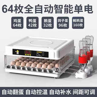 机器小鸡孵化机呼化器鸭鹅的水床家用全自动小型敷鸡蛋器鹌鹑照蛋 白64枚全自动单电 （自动翻蛋）