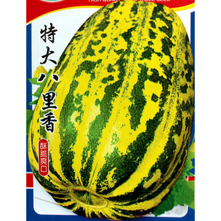 Farmer's son balixiang melon seeds spotted skin melon seeds winter and spring extra large balixiang muskmelon seeds about 30 pieces/large