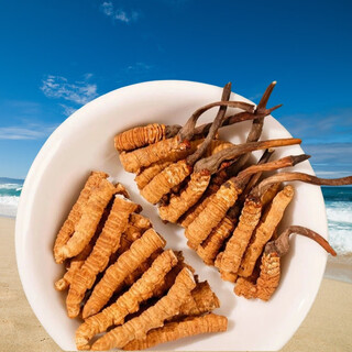 冬虫夏草正宗冬虫夏草精选大断草纯肉节干虫草自用实惠滋补佳品 那曲虫草大断草 30 克送4克