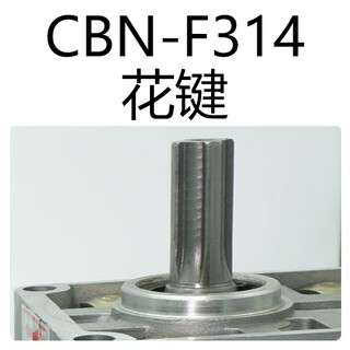 Hydraulic oil pump high pressure gear pump cbnf304 306 308 310 312 314 316 320 325 cbnf314 right spline