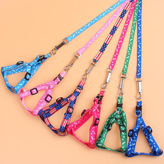 Tiannuo pet products cat and dog leash teddy pomeranian small dog cat dog rope puppy dog walking rope dog chain harness
