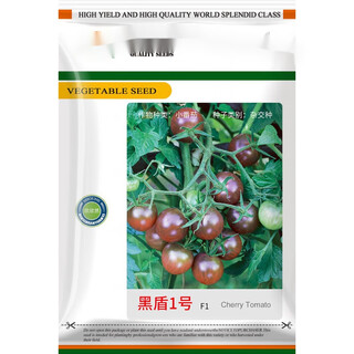 Black tomato seed seedlings, black tomatoes, small tomatoes, four-season vegetable seedlings, cherry tomato seedlings, black shield no. 1 small black tomato seeds, 1000 original seeds, single fruit about 25g