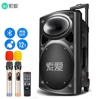 Sony ericsson (soaiy) t19 outdoor 12/15-inch high-power square dance audio mobile portable bluetooth trolley speaker portable subwoofer volume wireless microphone outdoor singing karaoke performance t19 dual microphone + 16g usb flash drive