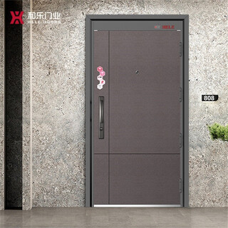 和乐门业（HELE DOORS）和乐门业 甲级门-乐尊轻奢简约风 防盗入户门  钢质门 可定制 2050*960单扇