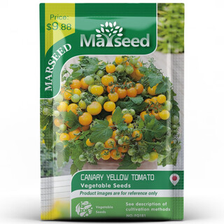 Imported sweet million sweet aperitif small cherry cherry tomato large tomato dwarf tomato seeds larvae seedlings balcony potted canary 20-30 pieces sweet and sour