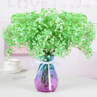 Aiman gypsophila natural dried flower bouquet ins internet celebrity birthday new house decorative ornaments air-dried real flower arrangements home furnishings green gypsophila with m vase