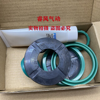 Cylinder repair kit dsbc/g/dnc-32-40-50-63-80-100-125-ppv- dsbg/g-160--