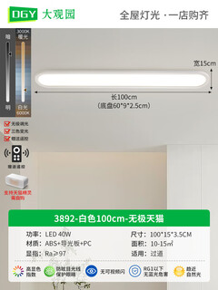 过道灯走廊灯led吸顶灯现代简约北欧长条客厅灯书房阳台灯具J263 3892-白色100cm-无极40W
