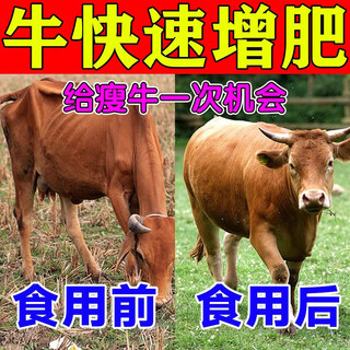 Cattle fattening, fattening, weight gain, growth promotion, fat tyrant feed additive, chicken, duck, goose, cattle and sheep premix, poultry and veterinary use, 5 packs, buy 3 get 2 free, gluttonous and sleepy, strong growth