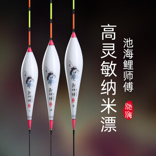 Chihai carp master fish float eye-catching series buoy nano float fishing gear